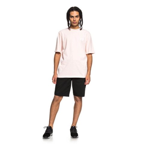 Spodenki DC Worker Relaxed 22 Shorts SEDYWS03103 DC