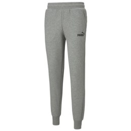 Spodnie Puma Essentials Logo Pants M 586714-03 Puma