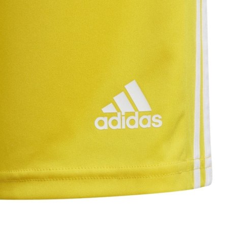 Spodenki adidas Squadra 21 Short Youth Jr GN5760 Adidas