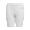 Spodenki adidas Techfit Tights Jr H23163 Adidas
