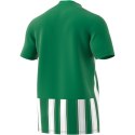 Koszulka adidas Striped 21 JSY M H35644 Adidas