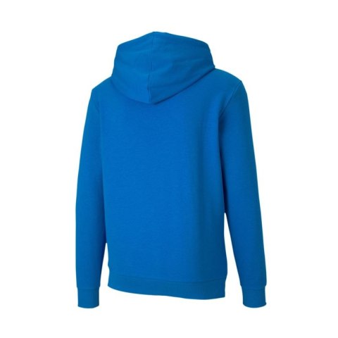 Bluza Puma TeamGoal 23 Casuals M 656580-02 Puma