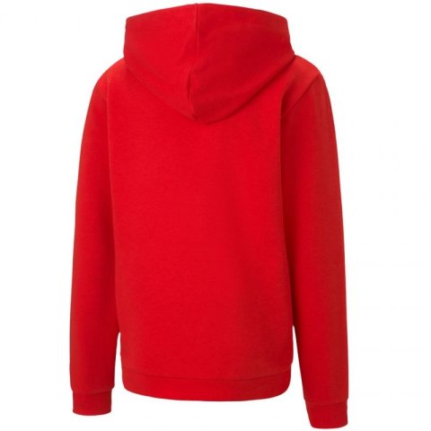 Bluza Puma teamGOAL 23 Casuals Hoody Jr 656711 01 Puma