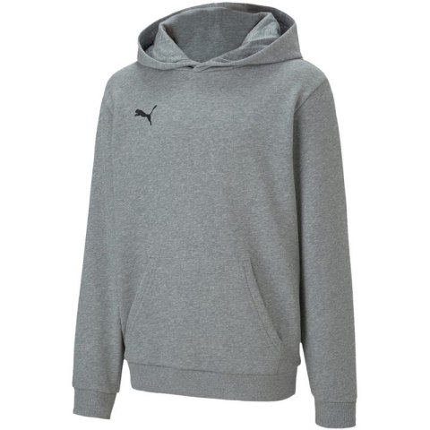 Bluza Puma teamGOAL 23 Casuals Hoody Jr 656711 33 Puma