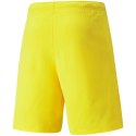 Spodenki Puma teamRISE Cyber M 704942 07 Puma