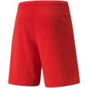 Spodenki Puma teamRISE Short M 704942 01 Puma