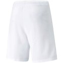 Spodenki Puma teamRISE Short M 704942 03 Puma