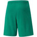 Spodenki Puma teamRISE Short M 704942 05 Puma