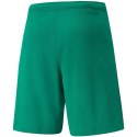 Spodenki Puma teamRISE Short M 704942 05 Puma