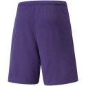 Spodenki Puma teamRise Short Prist M 704942 10 Puma