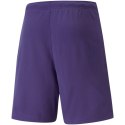 Spodenki Puma teamRise Short Prist M 704942 10 Puma