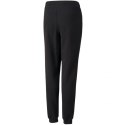 Spodnie Puma Alpha Sweatpants FL Jr 589235 01 Puma