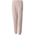 Spodnie Puma Alpha Sweatpants FL Jr 589235 36 Puma