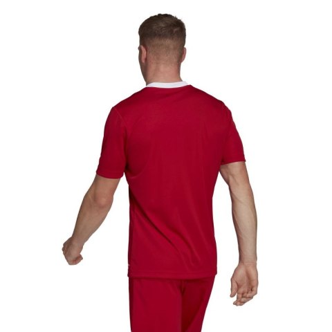 Koszulka adidas Entrada 22 M H61736 Adidas
