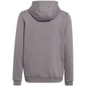 Bluza adidas Entrada 22 Hoody Jr H57515 Adidas