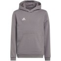 Bluza adidas Entrada 22 Hoody Jr H57515 Adidas