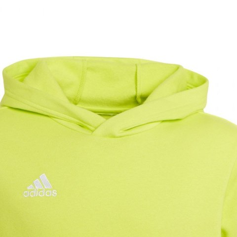 Bluza adidas Entrada 22 Hoody Jr HC5069 Adidas