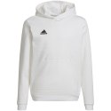 Bluza adidas Entrada 22 Hoody Jr HG6303 Adidas