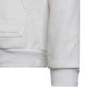 Bluza adidas Entrada 22 Hoody Jr HG6303 Adidas