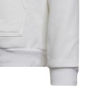 Bluza adidas Entrada 22 Hoody Jr HG6303 Adidas