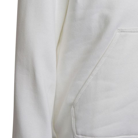 Bluza adidas Entrada 22 Hoody Jr HG6303 Adidas