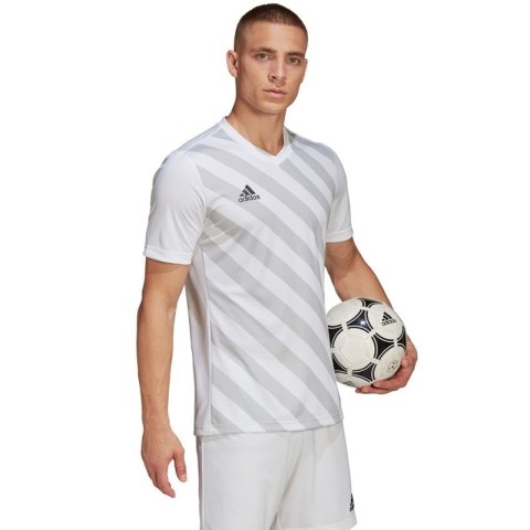 Koszulka adidas Entrada 22 Graphic Jersey M HF0129 Adidas