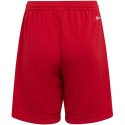 Spodenki adidas Entrada 22 Jr H57501 Adidas