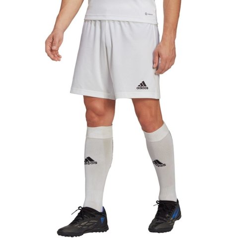 Spodenki adidas Entrada 22 M HG6295 Adidas