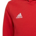 Bluza adidas Entrada 22 Hoody Jr H57566 Adidas