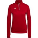 Bluza adidas Entrada 22 Top Training W H57551 Adidas