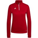 Bluza adidas Entrada 22 Top Training W H57551 Adidas
