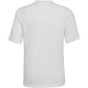 Koszulka adidas Entrada 22 Graphic Jersey Jr HF0120 Adidas