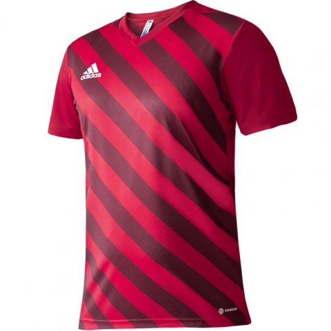 Koszulka adidas Entrada 22 Graphic Jersey M HB0572 Adidas