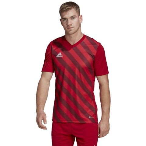 Koszulka adidas Entrada 22 Graphic Jersey M HB0572 Adidas