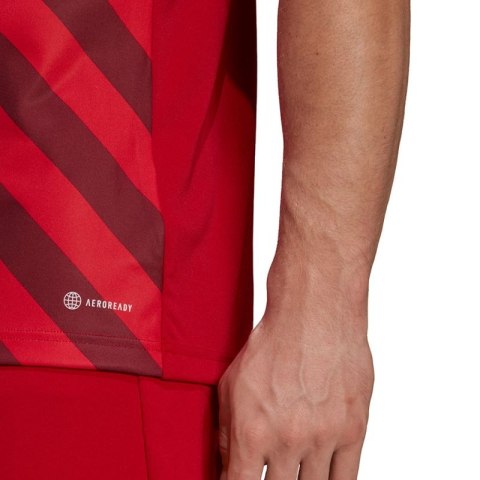 Koszulka adidas Entrada 22 Graphic Jersey M HB0572 Adidas