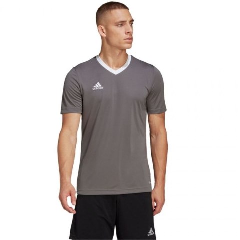 Koszulka adidas Entrada 22 Jersey M HE1574 Adidas