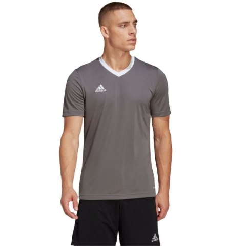 Koszulka adidas Entrada 22 Jersey M HE1574 Adidas