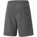 Spodenki Puma teamRise Short M 704942 13 Puma