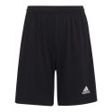 Spodenki adidas Entrada 22 Jr H57502 Adidas