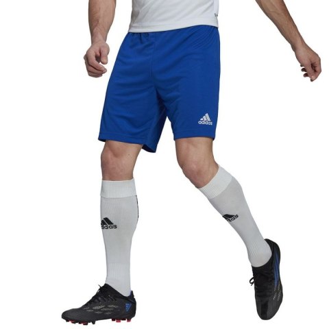 Spodenki adidas Entrada 22 M HG6294 Adidas