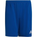 Spodenki adidas Entrada 22 M HG6294 Adidas