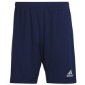 Spodenki adidas Entrada 22 Training Short M H57488 Adidas