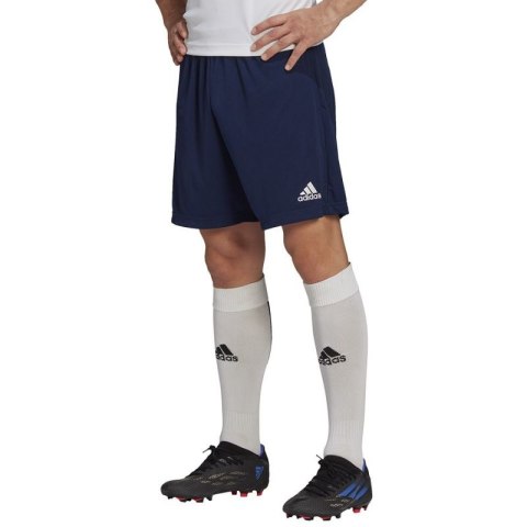 Spodenki adidas Entrada 22 Training Short M H57488 Adidas