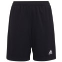 Spodenki adidas Entrada 22 Training Short Y Jr H57498 Adidas