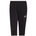 Spodnie adidas Entrada 22 3/4 Panty M HB0576 Adidas