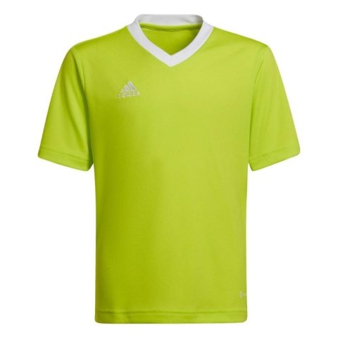 Koszulka adidas Entrada 22 Jersey Jr HC5079 Adidas