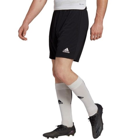 Spodenki adidas Entrada 22 M H57504 Adidas