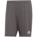 Spodenki adidas Entrada 22 M H57505 Adidas