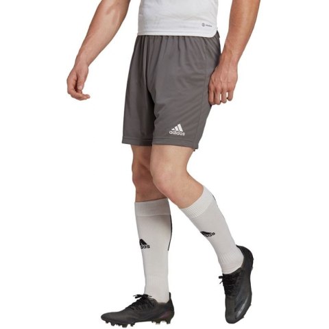 Spodenki adidas Entrada 22 M H57505 Adidas