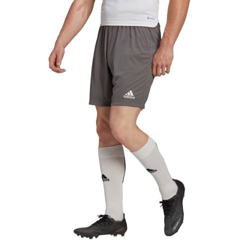 Spodenki adidas Entrada 22 M H57505 Adidas